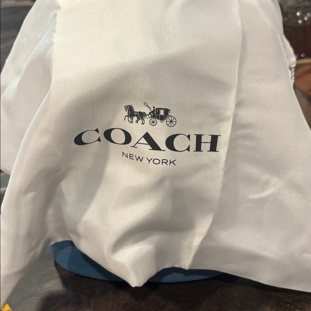 Coach Bleecker Bucket Bag 21 Sea Blue Suede NWT - Picture 12 of 12